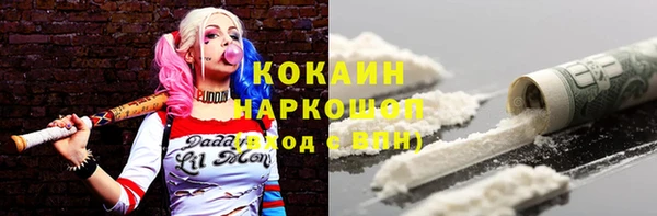 спиды Богданович