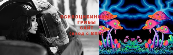 спиды Богданович