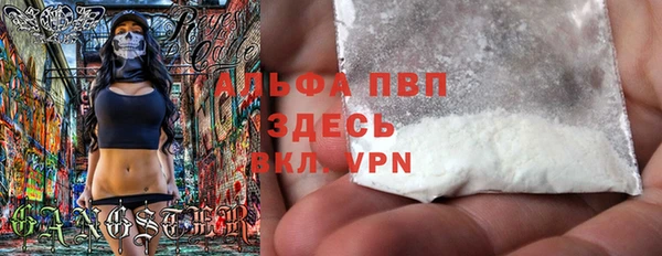 спиды Богданович