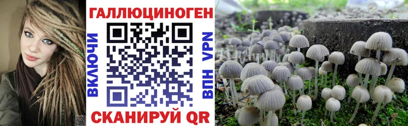 Псилоцибиновые грибы мухоморы Братск